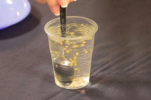 Замачивание семян перца. Как правильно замачивать семена перца в перекиси водорода