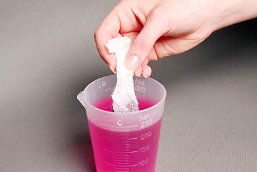 Нужно ли замачивать семена томатов перед посадкой. Составы для обеззараживания семян