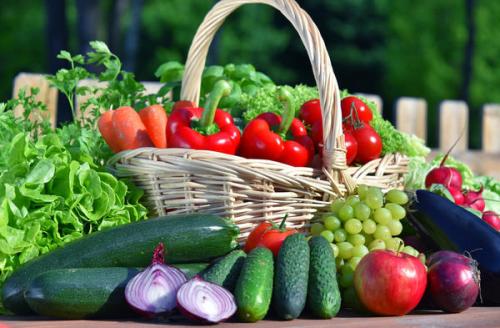 Какие факторы могут повлиять на размер и количество плодов на деревьях. Причины плохого урожая: какие факторы могут влиять на количество плодов