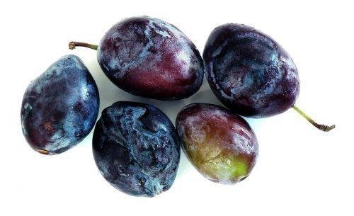 Слива чернеет и опадает. Причины и лечение черного налета на листьях сливы