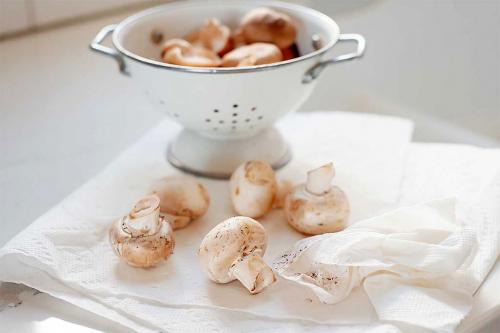 Сколько готовить грибы. Как и сколько варить грибы