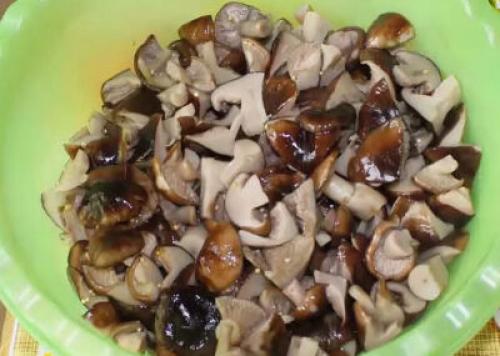 Сколько варить майские рядовки. Сколько варить рядовки: правила термической обработки