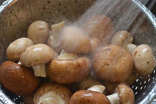 Сколько готовить грибы. Как и сколько варить грибы