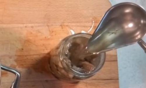 Рядовка фиолетовая. Как готовить грибы на зиму, описание, рецепты, правила безопасности, съедобная или нет 10