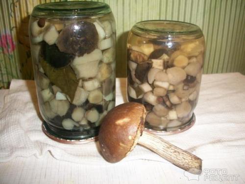 Как замариновать песочники. Грибы песочники рецепт маринования