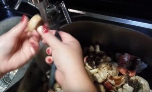 Рядовка фиолетовая. Как готовить грибы на зиму, описание, рецепты, правила безопасности, съедобная или нет 04