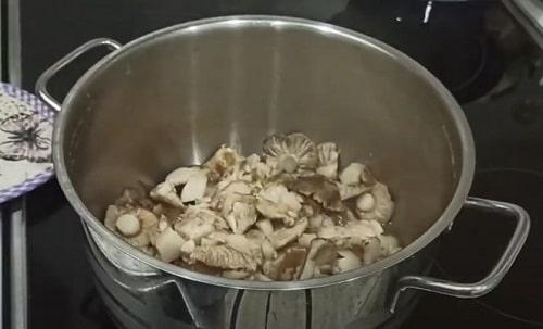 Как замариновать грибы рядовки. Грибы рядовки на зиму — лучшие рецепты соления, маринования, икры