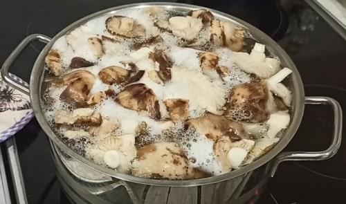 Как замариновать грибы рядовки. Грибы рядовки на зиму — лучшие рецепты соления, маринования, икры