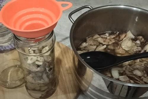 Как замариновать грибы рядовки. Грибы рядовки на зиму — лучшие рецепты соления, маринования, икры