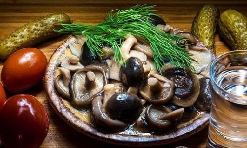 Как замариновать грибы рядовки. Грибы рядовки на зиму — лучшие рецепты соления, маринования, икры