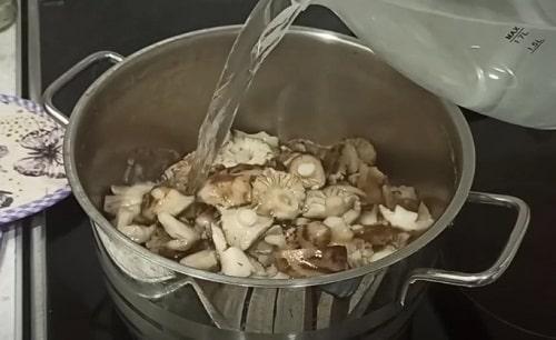 Как замариновать грибы рядовки. Грибы рядовки на зиму — лучшие рецепты соления, маринования, икры