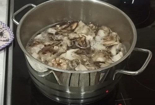 Как замариновать грибы рядовки. Грибы рядовки на зиму — лучшие рецепты соления, маринования, икры