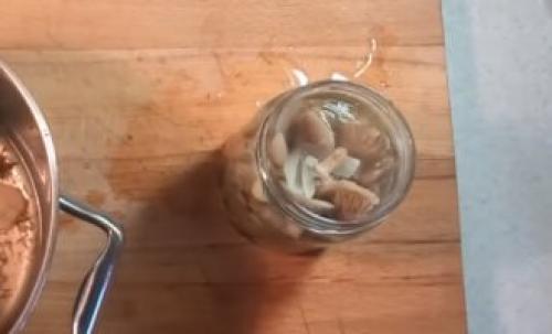 Рядовка фиолетовая. Как готовить грибы на зиму, описание, рецепты, правила безопасности, съедобная или нет 09