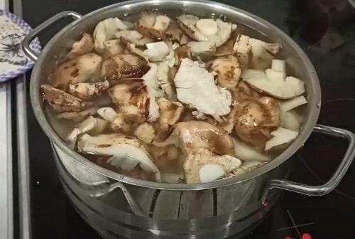 Как замариновать грибы рядовки. Грибы рядовки на зиму — лучшие рецепты соления, маринования, икры