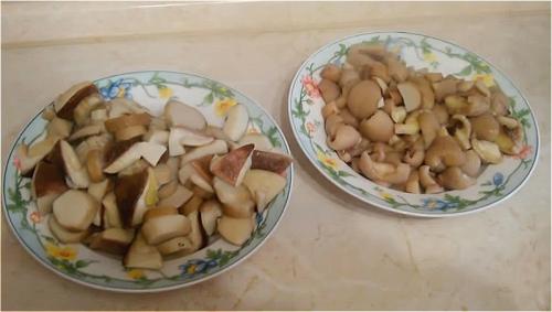 Как заморозить грибы синеножки. Как правильно заморозить грибы на зиму в домашних условиях? Заморозка грибов сырыми или вареными