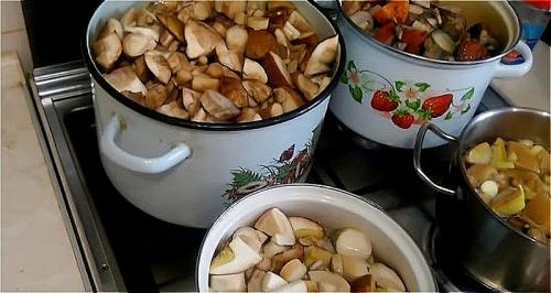 Как заморозить грибы синеножки. Как правильно заморозить грибы на зиму в домашних условиях? Заморозка грибов сырыми или вареными