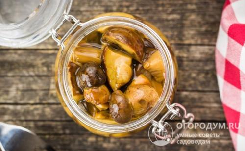 Как приготовить грибы рядовки на зиму. Как мариновать грибы рядовки: простые рецепты