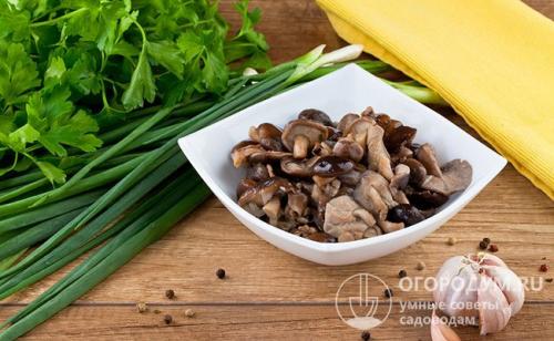 Как приготовить грибы рядовки на зиму. Как мариновать грибы рядовки: простые рецепты