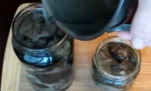 Как готовят рядовку фиолетовую. Рядовка фиолетовая: фото и описание, как солить, мариновать и жарить, лечебные свойства 17