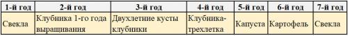 Свекла предшественники. Что можно сажать после свеклы на следующий год: подробные таблицы