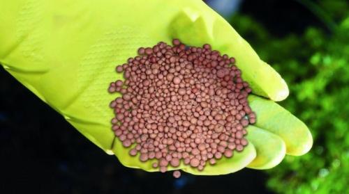 Нитроаммофоска для клубники. Все об удобрении нитроаммофоска