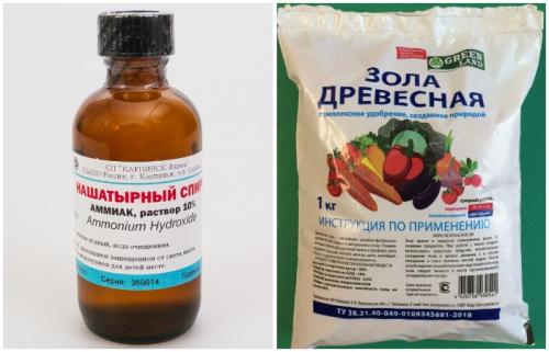 Нашатырный спирт от мошек в цветах. Народные способы избавления от насекомых