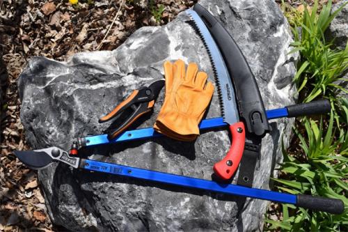 Как часто нужно обрезать яблони, чтобы она давала плоды. Основные принципы формирования кроны