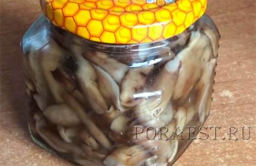 Как мариновать грибы на зиму опята. Опята маринованные на зиму — 5 простых рецептов приготовления в домашних условиях