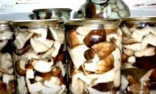 Как мариновать грибы рядовки на зиму в банках. Маринованные рядовки на зиму 30
