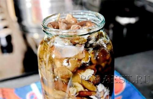 Как мариновать грибы на зиму опята. Опята маринованные на зиму — 5 простых рецептов приготовления в домашних условиях