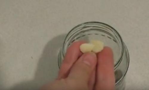 Как мариновать грибы рядовки на зиму в банках. Маринованные рядовки на зиму 29