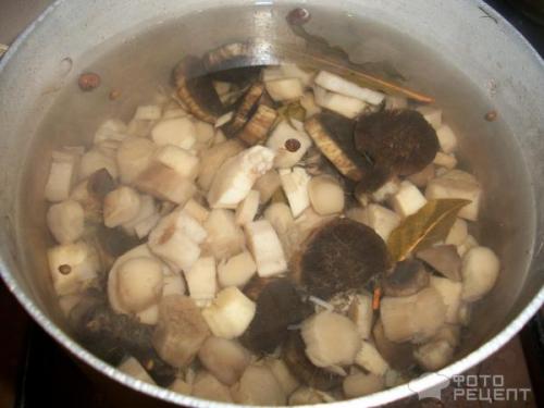 Маринованные песочники рецепт. Грибы песочники рецепт маринования