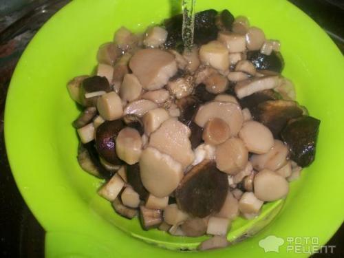 Маринованные песочники рецепт. Грибы песочники рецепт маринования