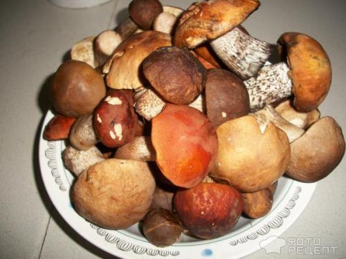 Маринованные песочники рецепт. Грибы песочники рецепт маринования