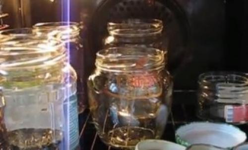 Как мариновать грибы рядовки на зиму в банках. Маринованные рядовки на зиму 28