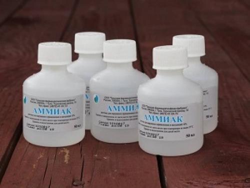 Аммиак для цветов польза. Полезные свойства вещества для комнатных растений