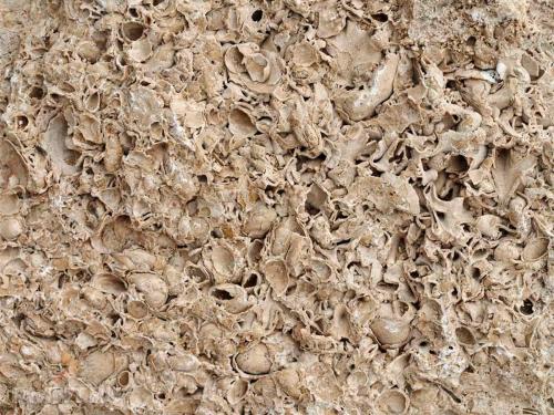 Облицовка натуральным камнем дома.  Как приклеить камень на бетонные стены 07