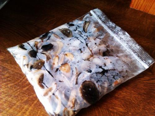 Сколько варить грибы рядовки. Сколько по времени варить грибы рядовки