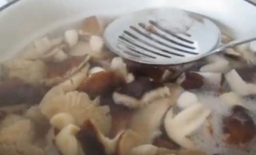 Грибы рядовки и как их готовить. Простой рецепт, как приготовить грибы рядовки на зиму в домашних условиях 02