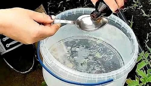 Нашатырный спирт для яблонь. Как правильно разводить для подкормки растений