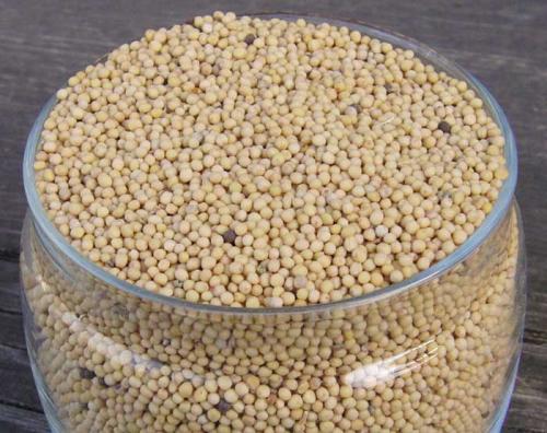 Белая горчица в теплице. Описание