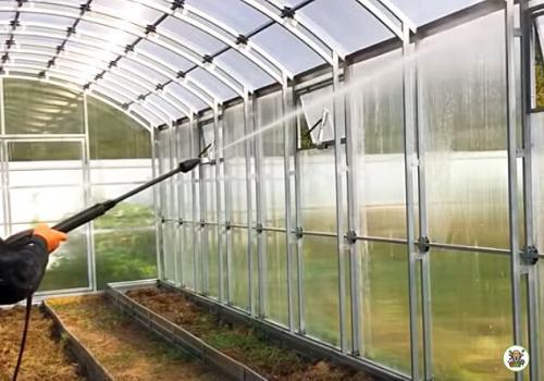 Горчица в теплице осенью. Сидераты для томатов в теплице осенью. Приветствую вас на моём канале, уважаемые читатели!