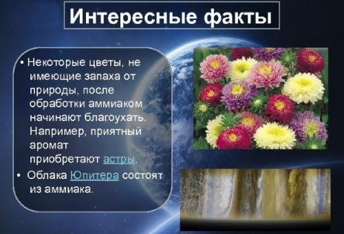 Аммиак для цветов польза. Свойства нашатырного спирта