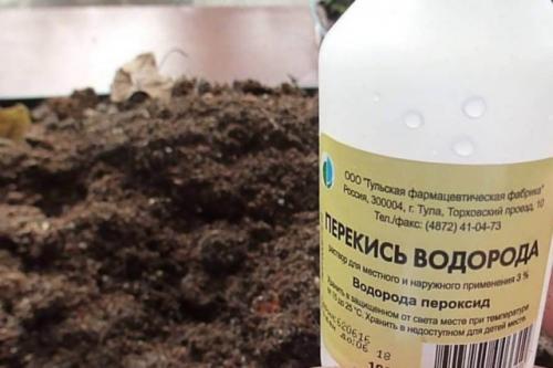 Подкормка нашатырным спиртом и перекисью водорода. Перекись водорода