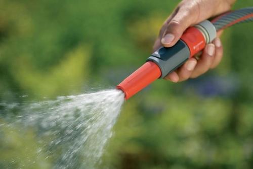 Почему морковь ребристая. Причины формирования моркови уродливой формы