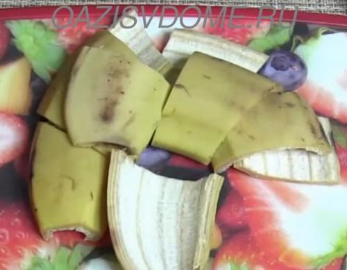 Чем подкормить рассаду цветов после пикировки. Подкормка рассады после пикировки народными средствами