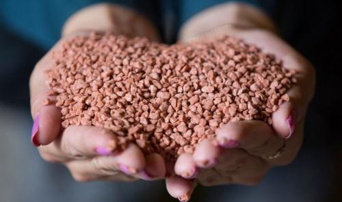 Комплексное удобрение для рассады цветов. Чем и как подкармливать рассаду цветов