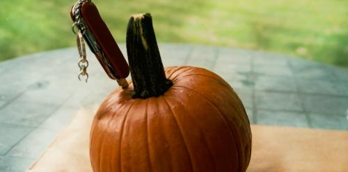 Формируем тыкву. Как формировать тыкву