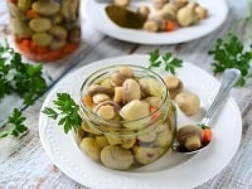 Маринованные шампиньоны на 1 литр воды. Маринованные шампиньоны в домашних условиях — рецепты быстрого приготовления