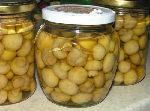Маринованные шампиньоны на зиму. Маринованные шампиньоны «по-итальянски» 25 Маринованные шампиньоны на зиму. Маринованные шампиньоны «по-итальянски» 25